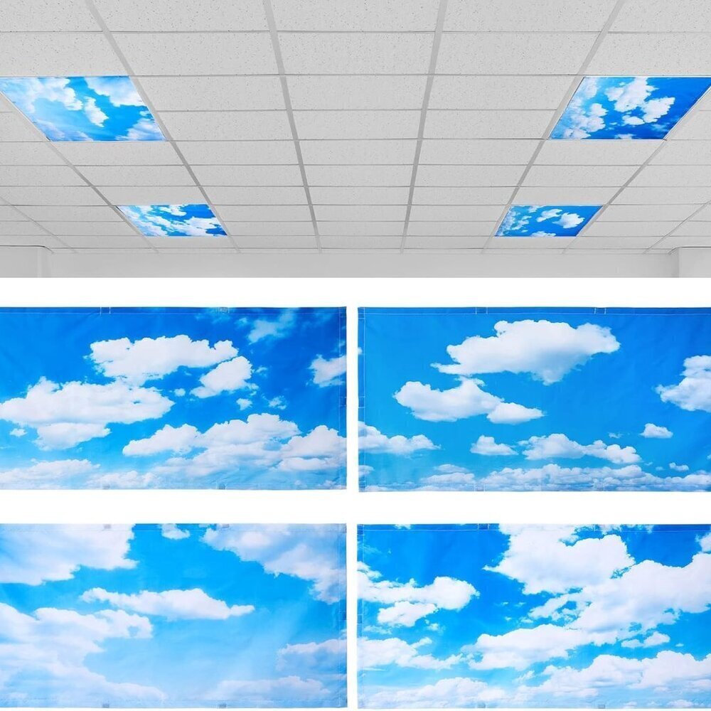 4 Pcs 4 x 2 Feet Fluorescent Light Covers for Ceiling Lights Classroom Office